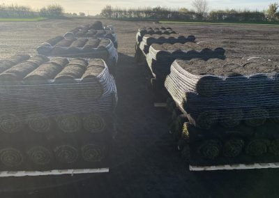 Turf Suppliers